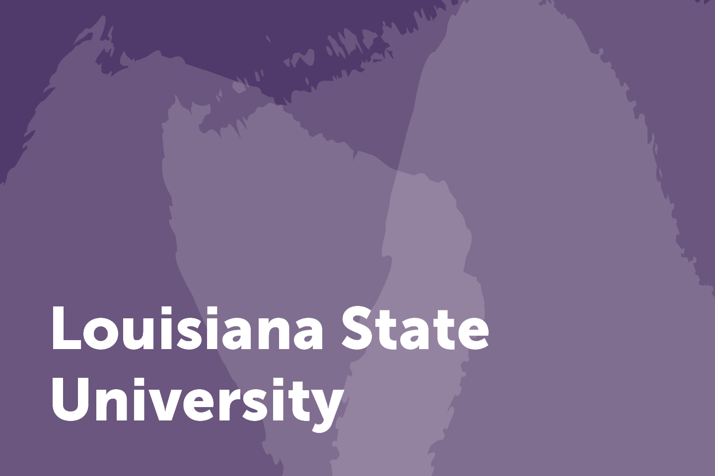 LSU City Year partnership